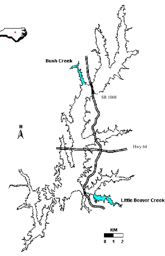Figure 2. Juvenile white perch were sampled via nighttime shoreline electrofishing from Little Beaver Creek and Bush Creek, B