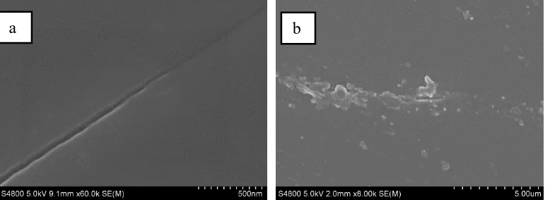 Figure 3.  SEM of the coatings modified with talcum powder loaded with 5 g/L Sodium tungstate after (a) one day; (b) 7 days immersion time in 3.5 wt.% NaCl solution