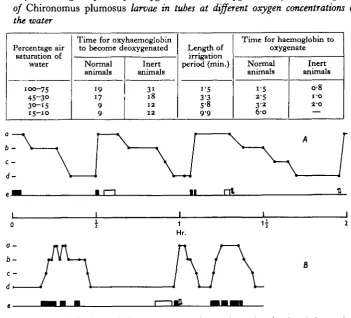 Fig. 5. The state of the haemoglobin of Chironomus plumosus larvae in tubes in relation to theirbehaviour