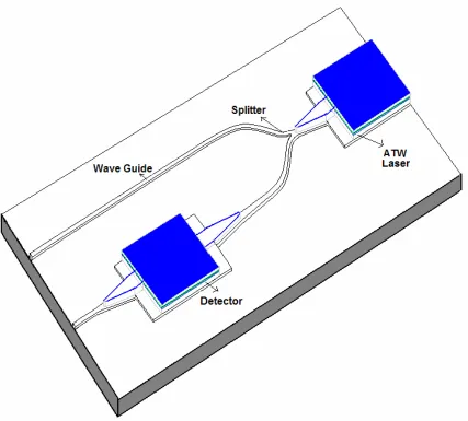 Figure 1-1.  A schematic diagram of the optoelectronic integrated circuit. 
