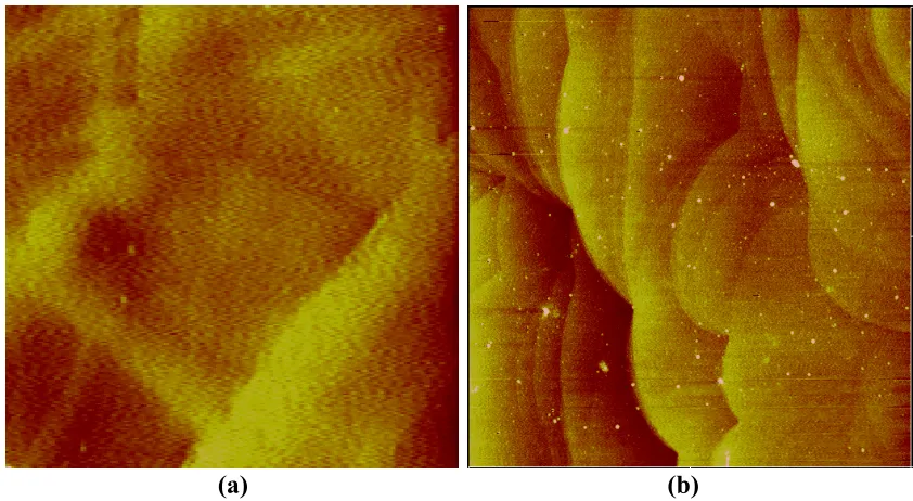 Figure 3-20. (a) AFM image of bulk sapphire in the size of 5 µm by 5 µm scan, 