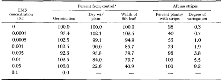 TABLE 1 Effect of EMS concentration on the appearance dry weight and width the sixth leaf in the inbred of albino stripes, percent of germination, AD-l of m ' z e  
