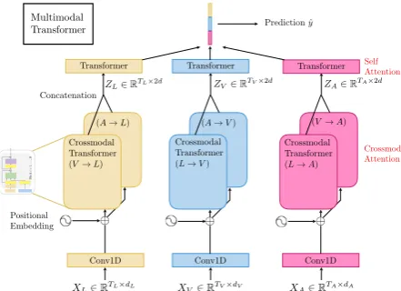Figure 2: Overall architecture for MulT on modalities(L, V, A). The crossmodal transformers, which sug-gests latent crossmodal adaptations, are the core com-ponents of MulT for multimodal fusion.