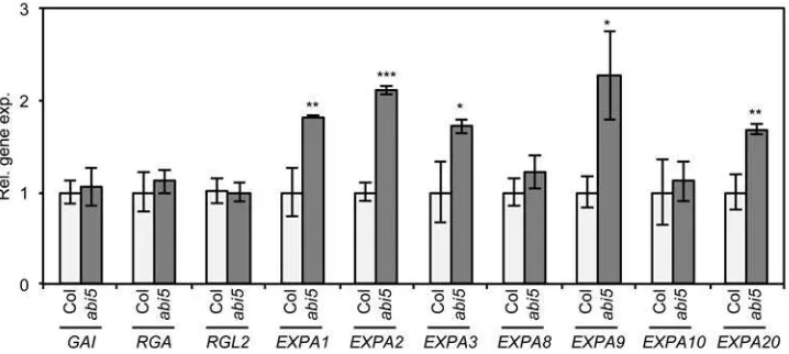 Fig. 3. Expression of DELLA and EXPANSIN genes in nicked Col and abi5 seeds in the presence of ABA