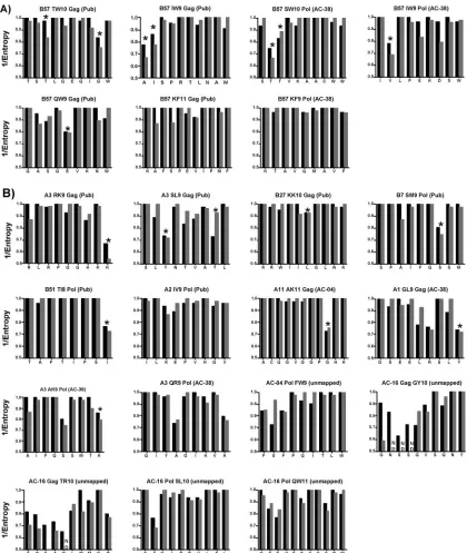 FIG. 4. Shared polymorphic residues in Gag and Pol in clades B and C. The degrees of variability of clade C sequences are plotted against cladeB Gag and Pol epitopes shown in Fig