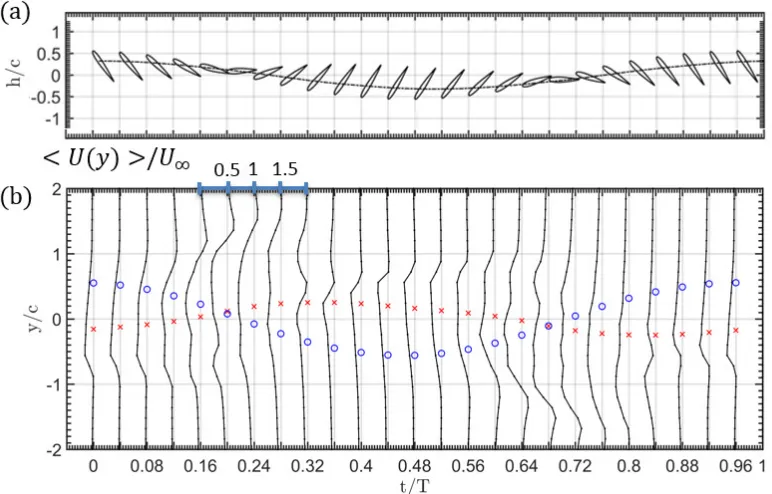 Figure 2.12 (a) Instantaneous wing position and trace of instantaneous wing pivot location
