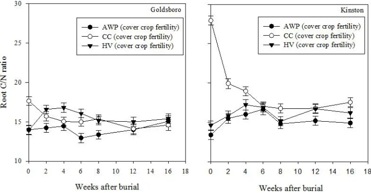 Figure 2-8 Austrian (AWP), crimson clover (CC), and hairy vetch (HV) root C/N ratio dynamics from cover crop fertility plots and averaged over kill methods in Goldsboro (left) and Kinston (right)