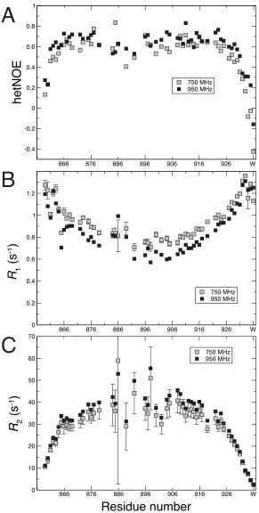 Figure 2. Dynamic properties from H–N NOE and N relaxation studies of M7A SAH. Plots of (A) 1H–15N NOE, (B) longitudinal (R1), and (C) transverse (R2) 15N relaxation rates, as a function of residue 