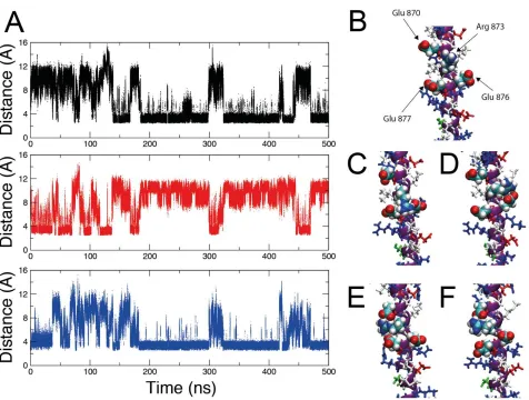 Figure 6. Simulation results highlighting the variable nature of ion pairs for an example residue Arg873