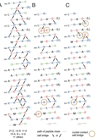Figure 7. Helical net plot representation highlighting potential pairs in M7A858–935 (M7A SAH) and 