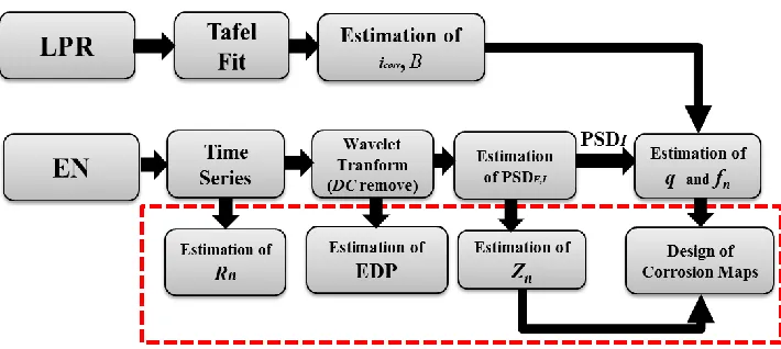 Figure 2. Summary of the methodology used for EN analysis. 