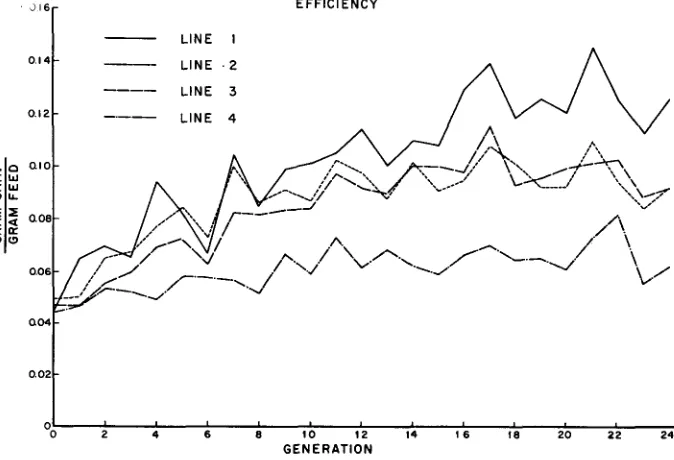 FIGURE 5.-Changes in efficiency ob feed utilization over 24 generations. 
