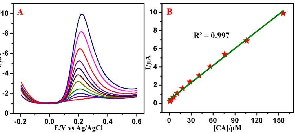 Figure 3. (A) DPVs at Co3O4/SPCE in PBS (pH 7.0) containing various concentrations of caffeic acid (0.2 – 272 µM)
