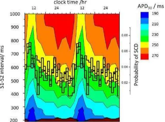 Fig. 4. Circadian changes in ventricular endocardial cell model dynamic APDusing data in Fig.3
