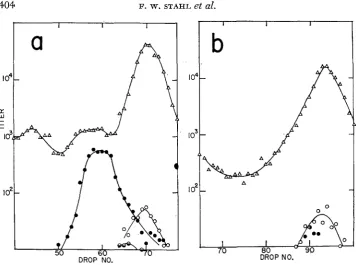 FIGURE 7.-The crosses-heavy density distributions af phages produced in rec- red+ gan- double-block tsA cl x light tsR