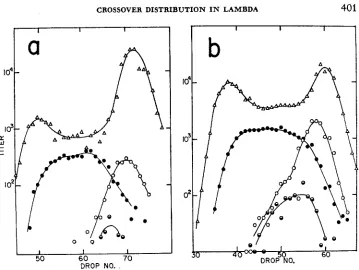 FIGURE 3.-The permission crosses-heavy density distributions of phages produced in ret+ red- gam+ double-block tsA cl crossed with light tsR