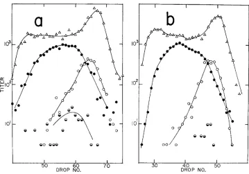 FIGURE 4.-The crosses-heavy density distributions of phages produced in r e d  red+ gam- double-block tsA cl X light tsR