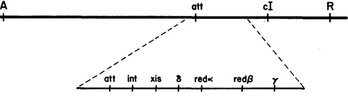 FIGURE 1.-Map 