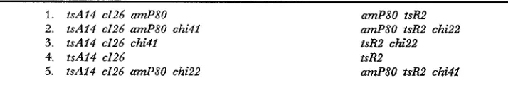 TABLE 1 Bacterial strains used and not described in cosmpanion papers 