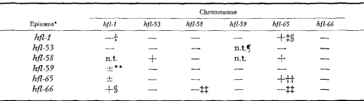 TABLE 8 