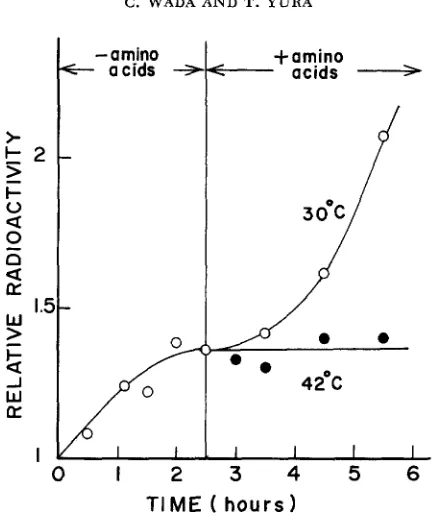 FIGURE 9.-Effect shaken at shaken at mutant. A mutant culture all amino acids. After shaking filter (HA 0.45 immediately after temperature equilibration