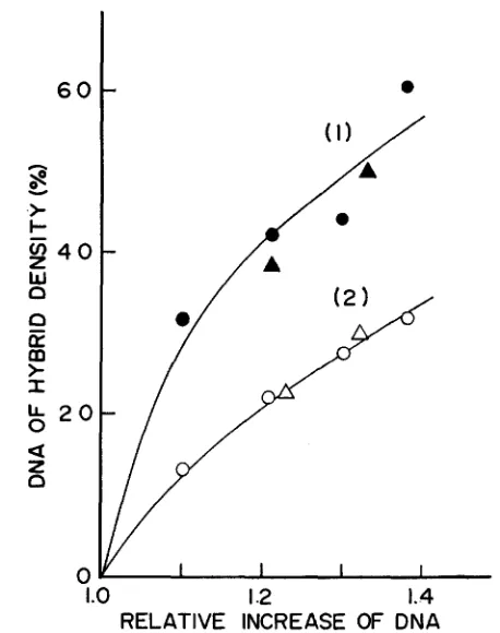 FIGURE lO.--CsCl density gradient centrifugation calculated from the radioactivity profile at tracted and centrifuged against total DNA as determined by the parallel experiment