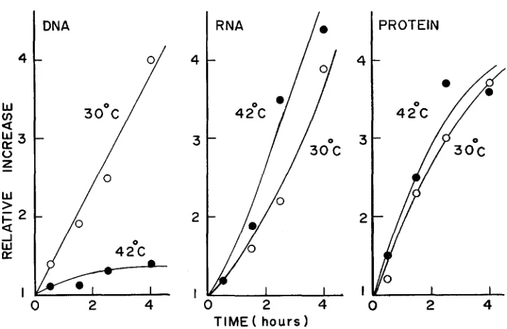 FIGURE 4.-Effect protein by colorimetric methods, essentially as described log-phase culture tryptophan and thymine was grown to respectively