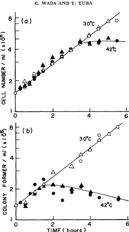 FIGURE 5.-Effect Experiment culture parts and T, of formers (b). The cell number was estimated by a Coulter counter (Model were taken at the times indicated each sample of temperature on cell division and viability of the mutant