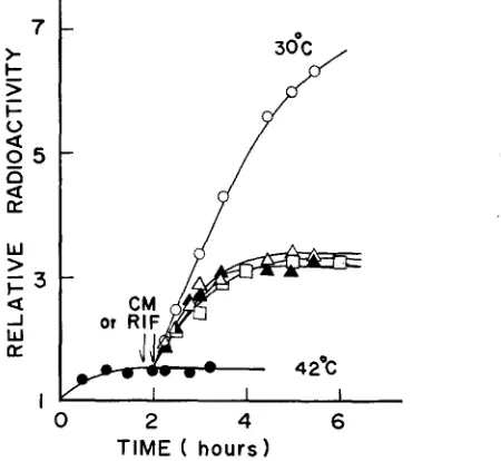 TABLE 2 Growth of bacteriophages in the mutant bacteria* 