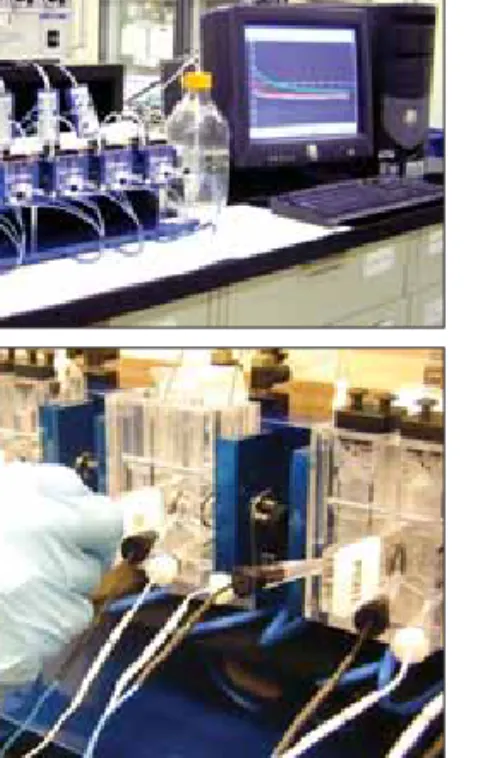 Figure 7: Effect of drug concentration  on transport in the mucosal-to-serosal  direction across rat jejunum, from buffer.