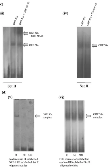 FIG. 3—Continued.
