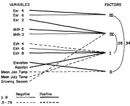 FIGURE 1 .-Path diagram of factor pattern after orthogonal rotation. j4 