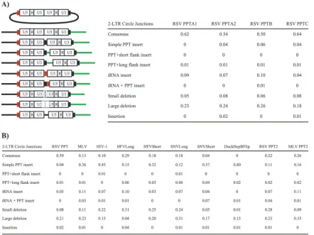 FIG. 3. 2-LTR circle junctions produced by PPT mutants. (A) Schematic representation of the mutations found in the 2-LTR circle junctionanalysis and relative amounts of the consensus and aberrant sequences found at the circle junctions of wild-type-infecte