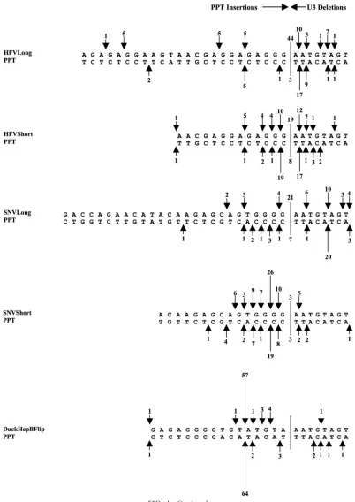 FIG. 4—Continued.