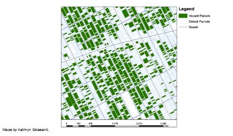 Figure 4. Example of Vacancy Distribution in a High-Vacancy Neighborhood. These neighborhood blocks, which are located in zip code 48215, correspond to Square 2 in Figure 2
