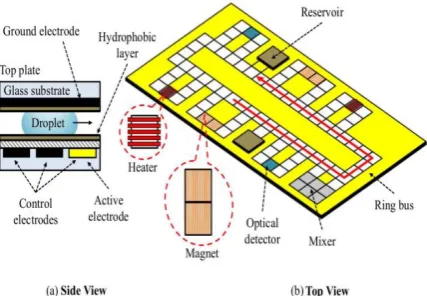 Figure 2. Basic set of droplet operations performed on a DMFB: (a) Transport (b) Split/Merge (c) Mixing (d) Storage and Detection [2]  