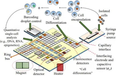 Figure 5. The hybrid platform for single-cell analysis [26] 