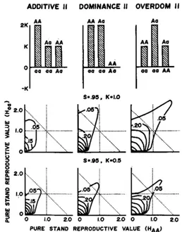 FIGURE 2.-The nant, or overdominant competitive effects and graphs indicate pure stand reproductive values (for the homozygotes) which result in stable equilibria and more heterozygotes than expected when competition and selection the pure stand reproducti