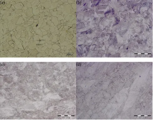 Figure 2. Microstructures of SUS 304 stainless steel before and after cold rolling: (a) specimen before cold rolling; (b) specimen when the degree of rolling reduction was 8%; (c) specimen when the degree of rolling reduction was 14%; and (d) specimen when
