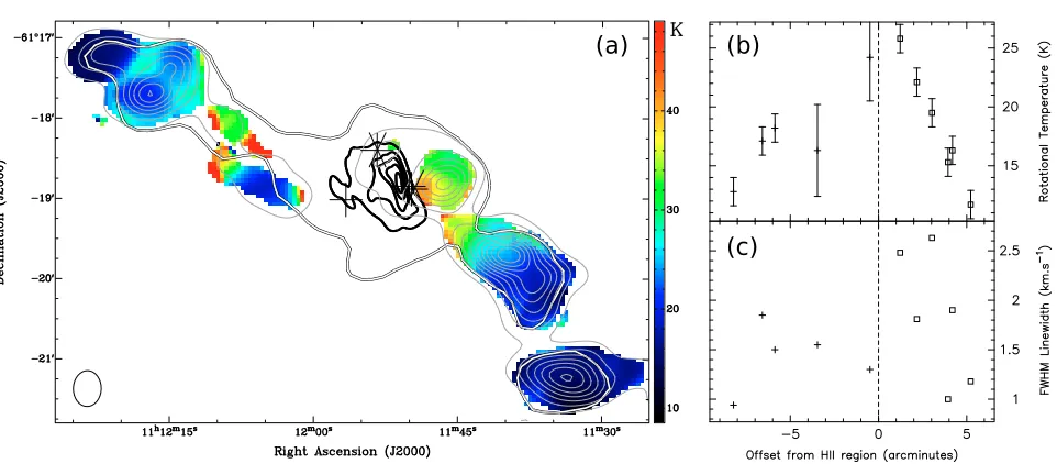 Fig. 8. atemperature gradient is evident in the western arm of the ﬁlament (range fromo) Map of the kinetic temperature derived from the ratio of the NH3 (1,1) and (2,2) lines
