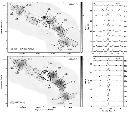 Fig. 2. amade using data from the ATCA H75 array;and EW367 data. Contours are at 1.6, 7.9, 13.8, 20.0, 25.7, 31.5, 37.4, 43.6 and 50.1 K