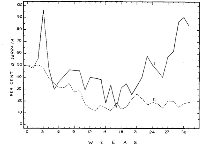 FIGURE 1 .-Percent D. serrata in two experimental populations. 