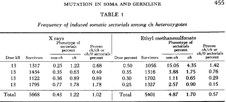 TABLE 1 Frequency of induced somatic sectorials among ch heterozygotes 