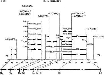 FIGURE 3.-Gross cytological position of the genes and Contiguous dsuble and solid horizontal lines indicate b3th genes were segregating in the same sities with T6-7 interchanges (adapted from Table 6)
