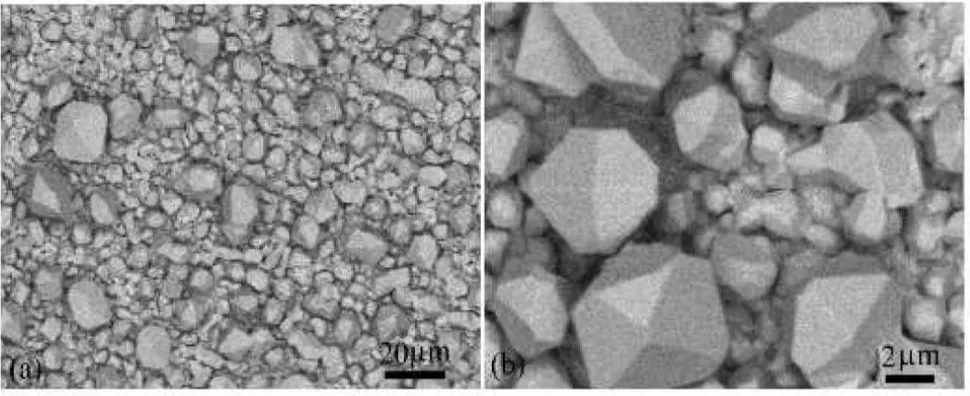 Figure 5.  SEM images of Sn thin films electrodeposited at 23.2 mA cm−2. (b) SEM image of large Sn whiskers