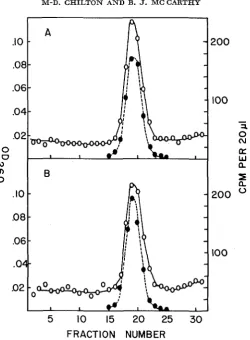 FIGURE 1.-Comparison radioactivity was measured throughout the gradient and all gradients