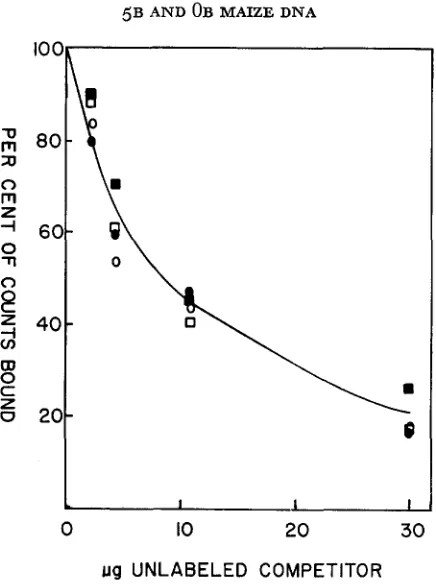 FIGURE 2.-Competition volume, opposite difference was found. in labeled of competing conditions are calculated to be similar in stringency to OB of the this experiment was not reproducible; when curves for homologous and heterologous filter duplexes us