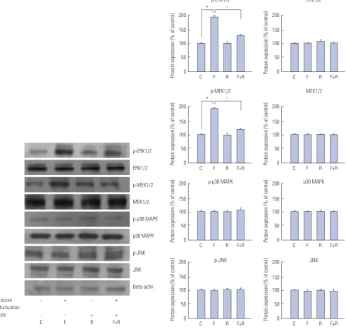 Fig. 2. Inhibitory effects of rutin on proliferation of vascular smooth muscle cells (VSMCs) at fluctuating glucose concentrations through the mitogen-acti-cose fluctuations