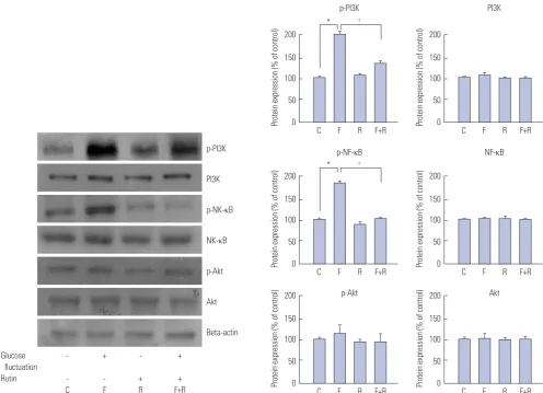 Fig. 3. Inhibitory effects of rutin on proliferation of vascular smooth muscle cells (VSMCs) at fluctuating glucose concentrations through nuclear factor kappa B (NF-κB) and phosphoinositide 3-kinase (PI3K)/Akt pathway determined by western blot analysis