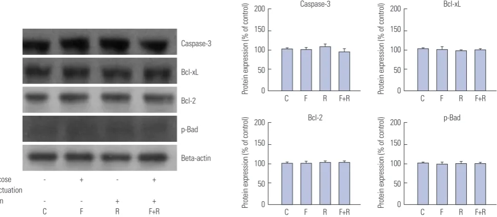 Fig. 4. Effect of ERK inhibitor (PD98059) and PI3K inhibitor (wortmannin) on proliferative protein expression of glucose fluctuation-induced vascular smooth muscle cell (VSMC) with or without rutin determined by western blot analysis